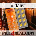 Vidalist new05